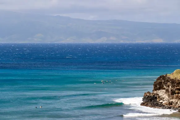 Kaszinó Two Fat Ladies Bingo Támogatás